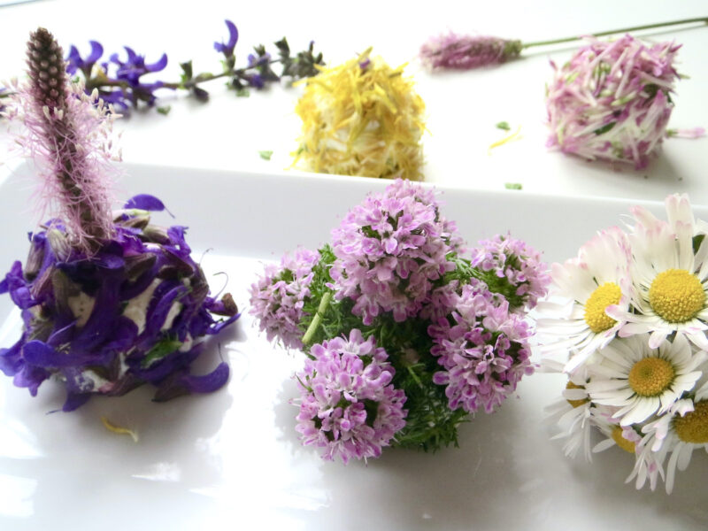 Frischkäsebällchen