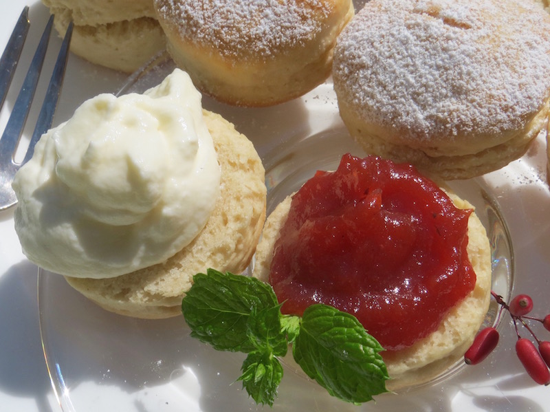 Scones mit BerberitzenWildbirnenMarmelade Abenteuer am Wegesrand