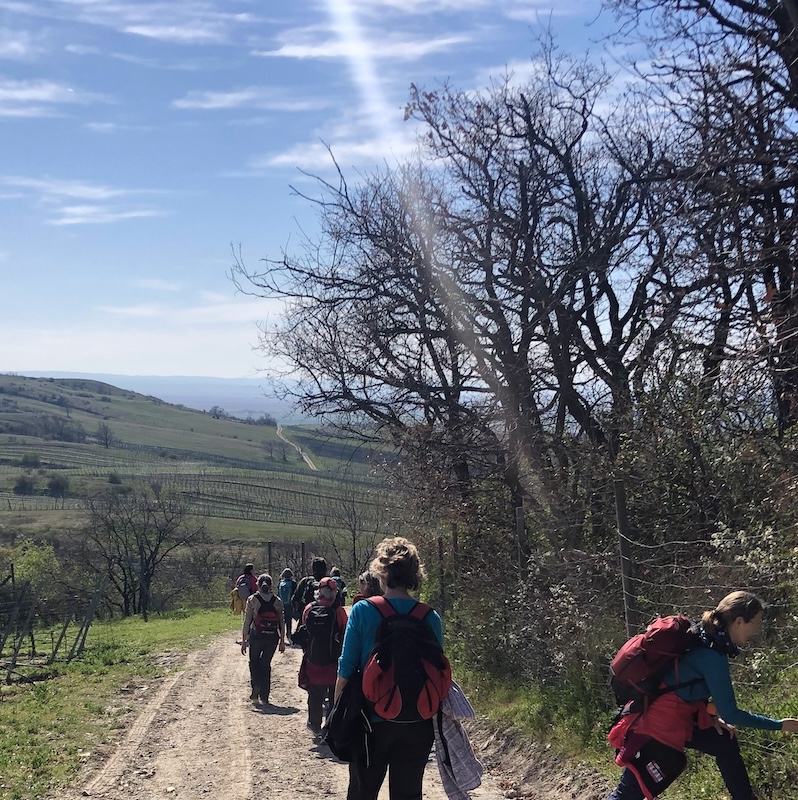 Wandern