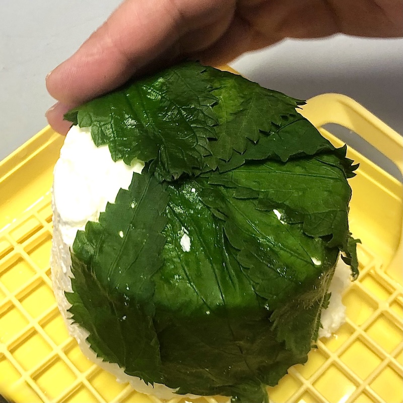 Käse-Workshop-Labenzym