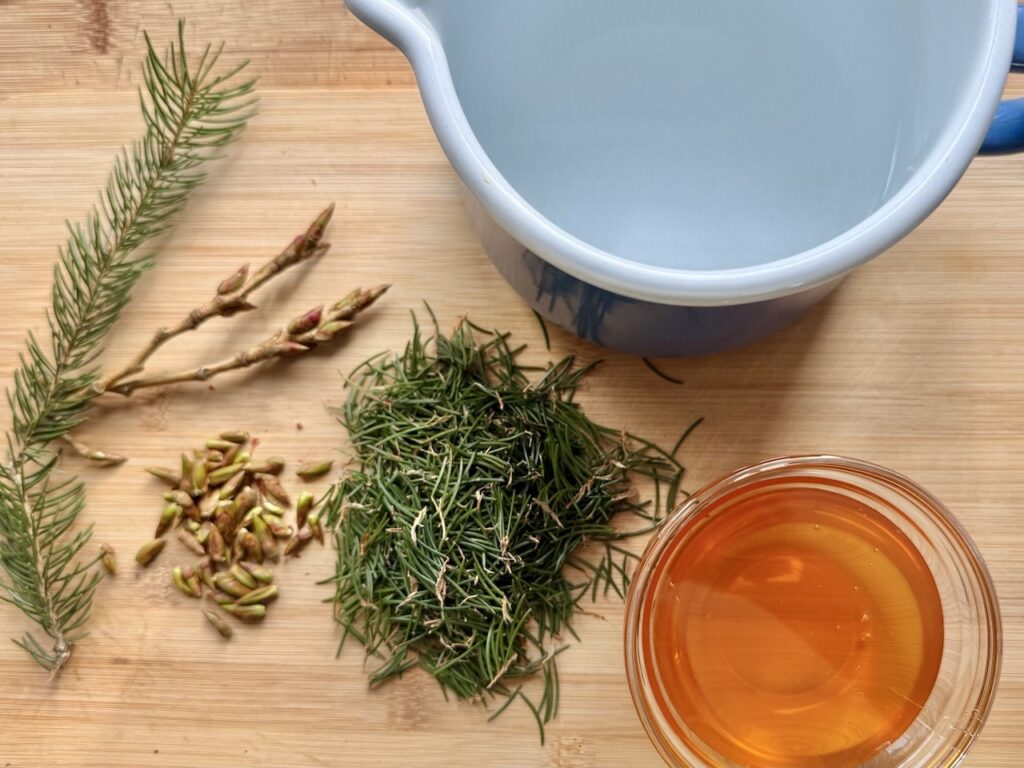 Wald-Frizzante-Zutaten